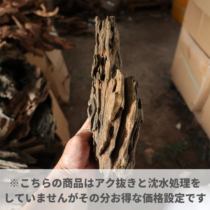 メダカ | アクアリウム用流木3個セット - 穴あき小魚シェルター
