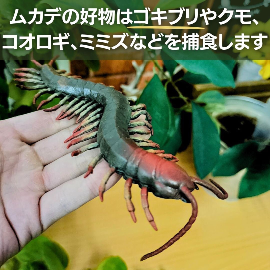 イベントグッズ | オオムカデ将軍 フィギュア 3個セット - サプライズパーティーグッズ