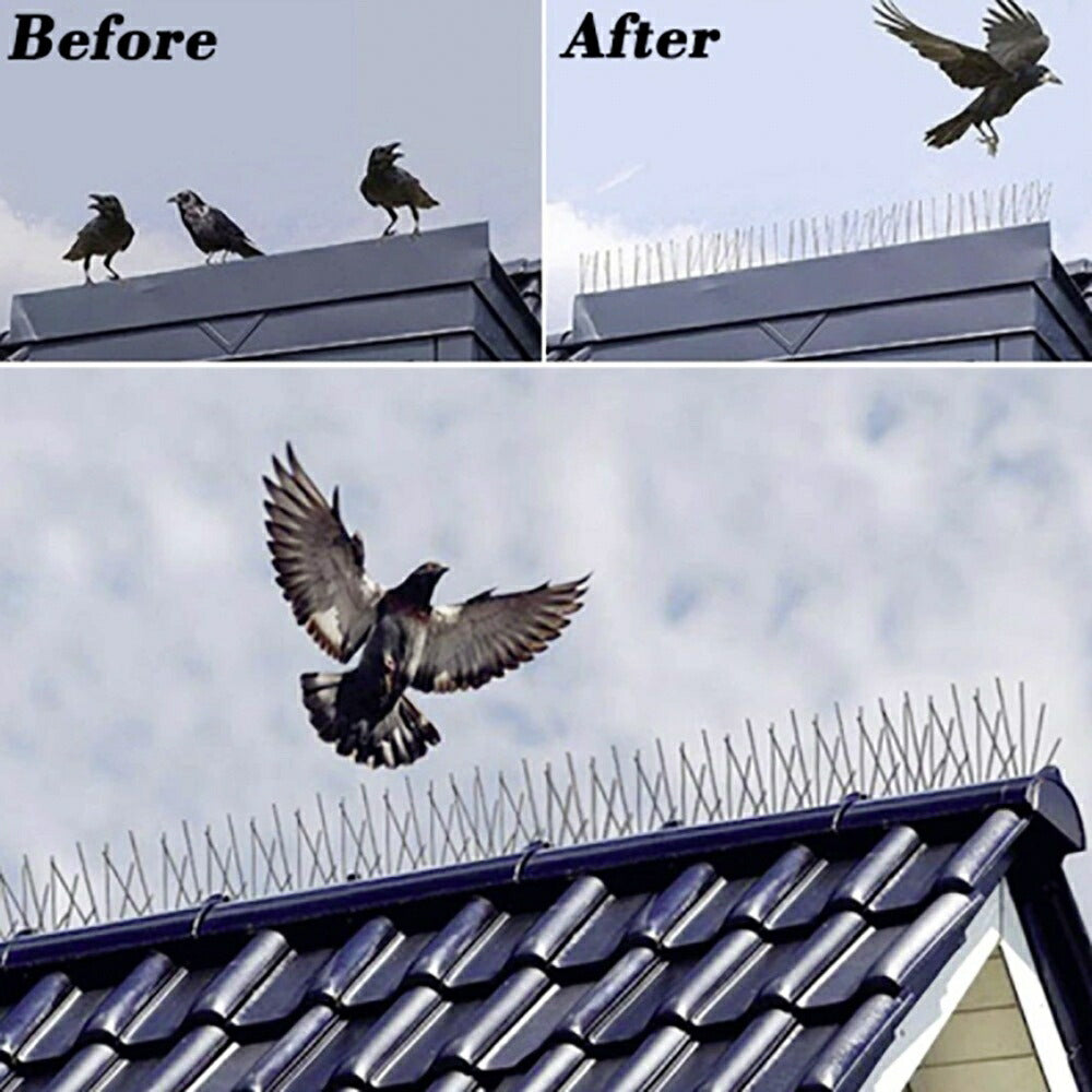 虫よけ 鳥よけ | 防鳥スパイク10個セット - 害獣・ハト対策、長さ調整可能