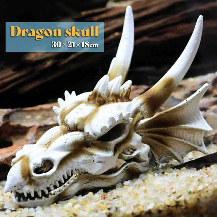 風水 インテリア | 風水龍頭蓋骨置物 - 開運金運向上