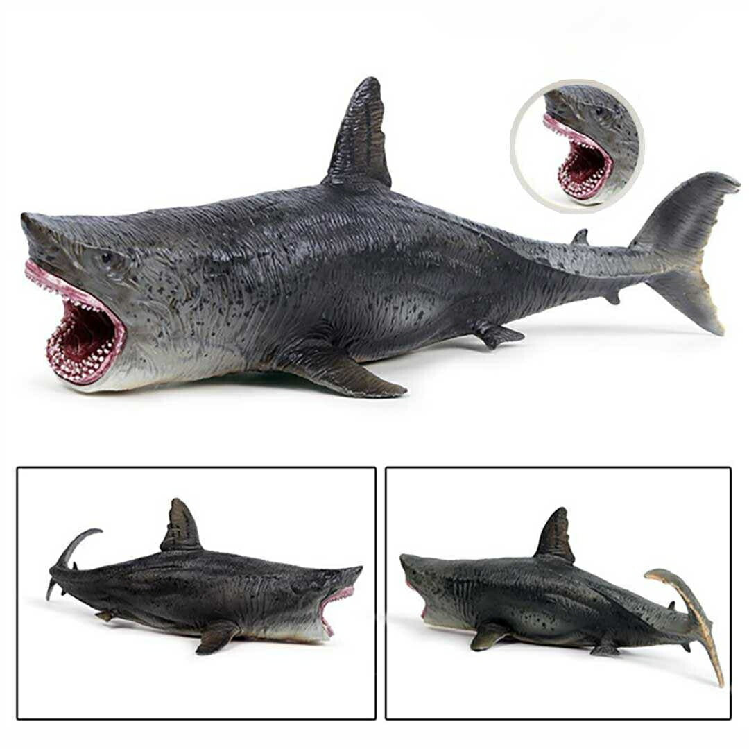 子供 おもちゃ | メガロドン模型 - 子供向け誕生日・クリスマスプレゼント