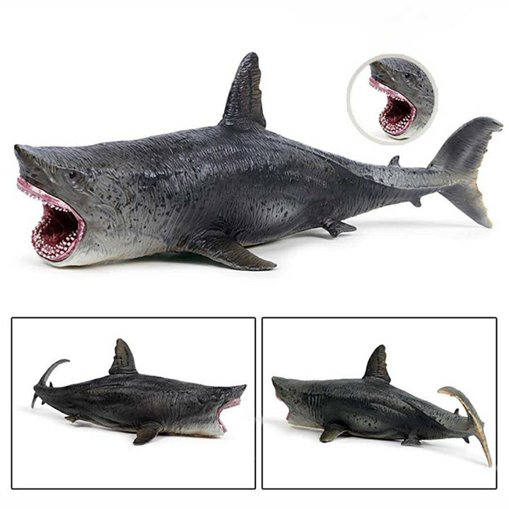 子供 おもちゃ | メガロドン模型 - 子供向け誕生日・クリスマスプレゼント