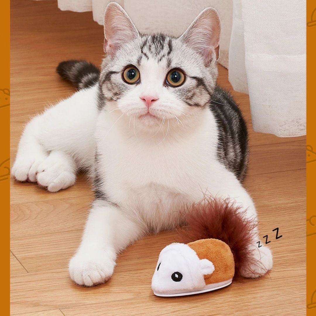 ペットグッズ | 電動ネズミおもちゃ - 猫用運動不足解消グッズ