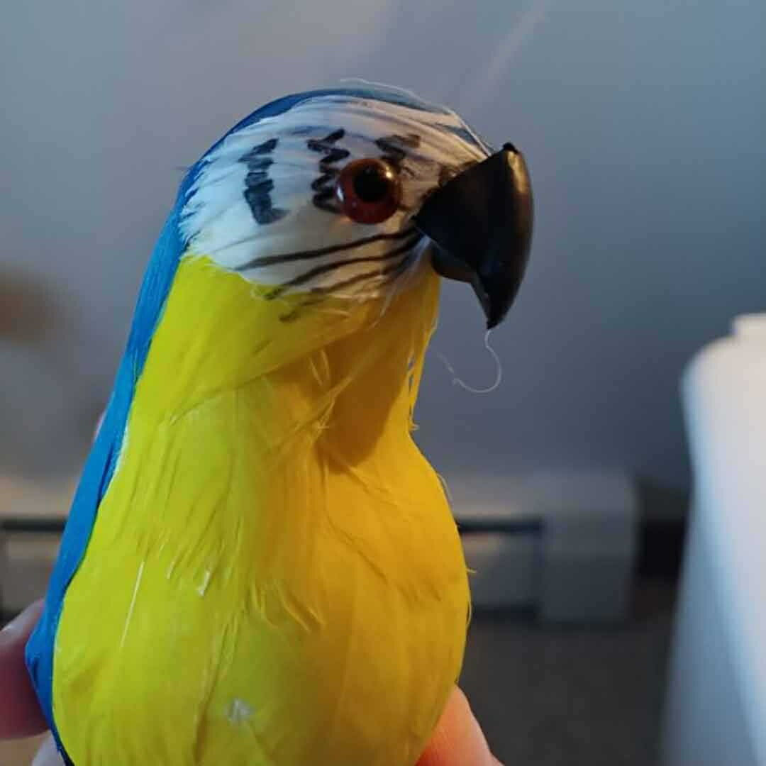 虫よけ 鳥よけ | オウム型虫よけ置物 - ブルーorレッド、家庭菜園・農業用