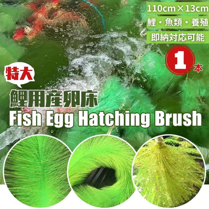 ペットグッズ | 錦鯉・コイ用産卵床：繁殖＆観察ブラシ