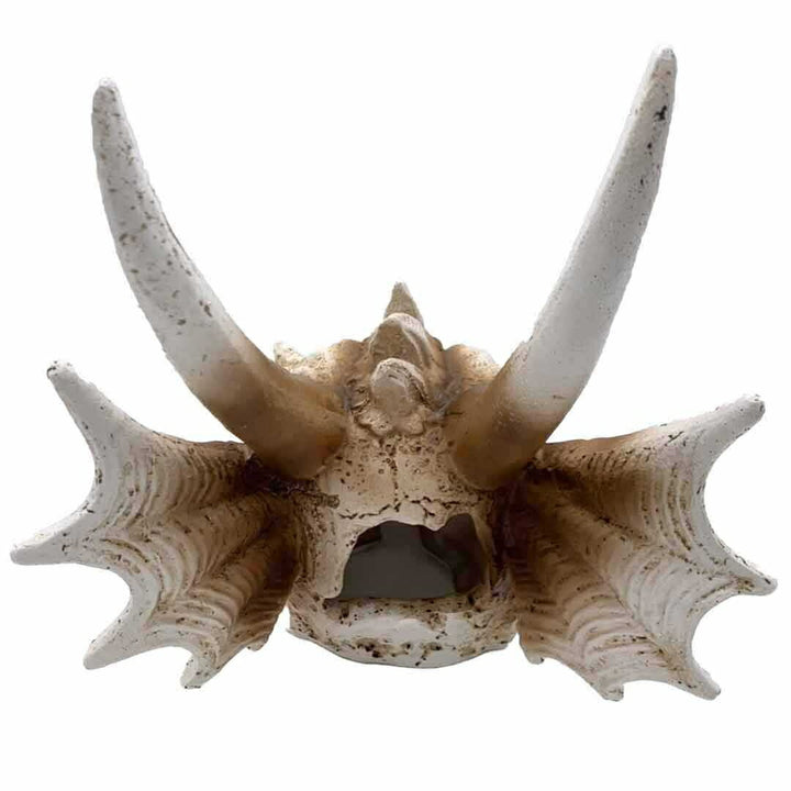 風水 インテリア | 風水龍頭蓋骨置物 - 開運金運向上