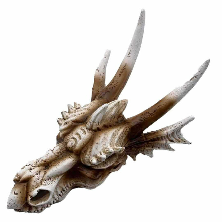 風水 インテリア | 風水龍頭蓋骨置物 - 開運金運向上