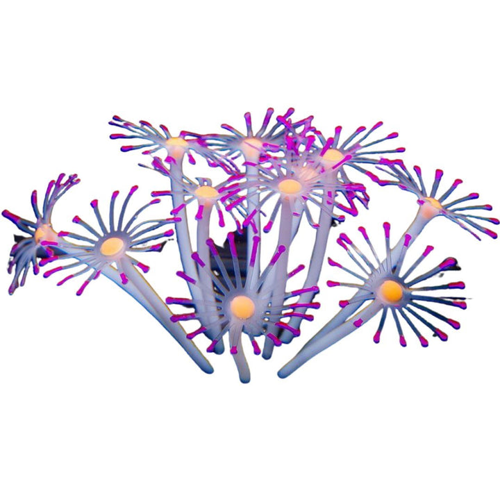 ペットグッズ | シリコン製人工イソギンチャク 水槽用インテリア 6カラー選択可能