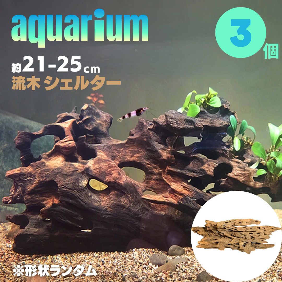 メダカ | アクアリウム用流木3個セット - 穴あき小魚シェルター