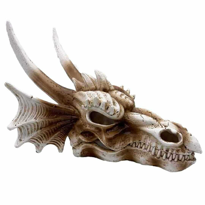 風水 インテリア | 風水龍頭蓋骨置物 - 開運金運向上