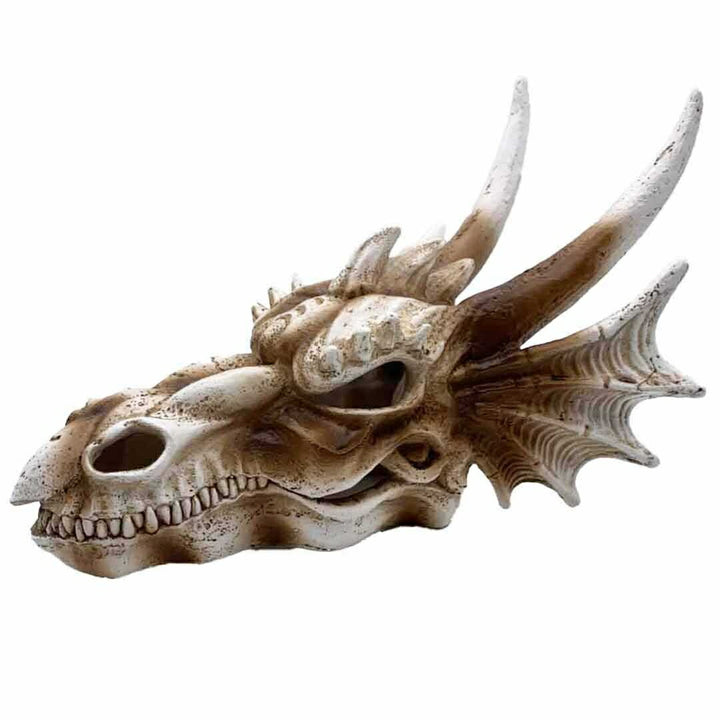 風水 インテリア | 風水龍頭蓋骨置物 - 開運金運向上