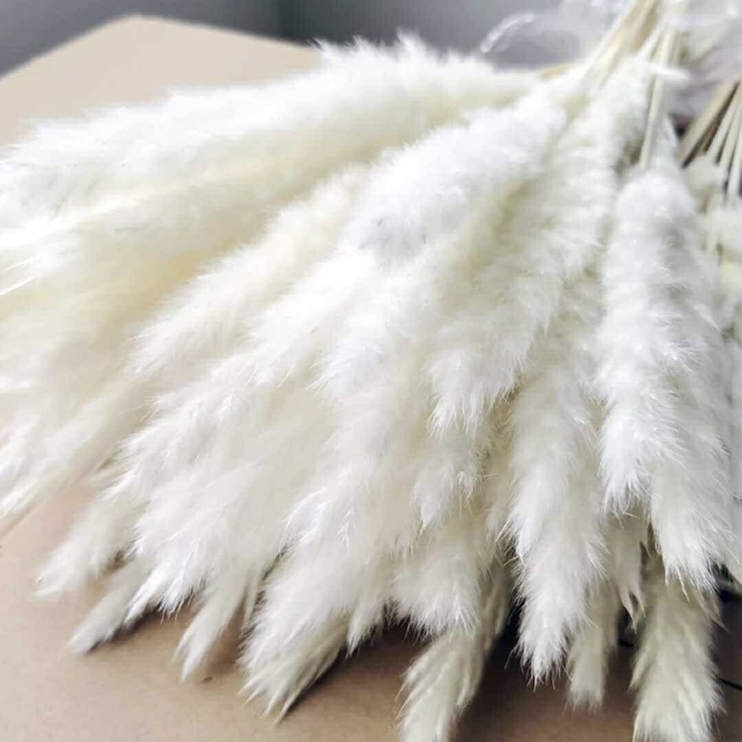 インテリア オブジェ | 北欧風ヴィンテージ パンパスグラス15本セット | インテリア用ドライフラワー