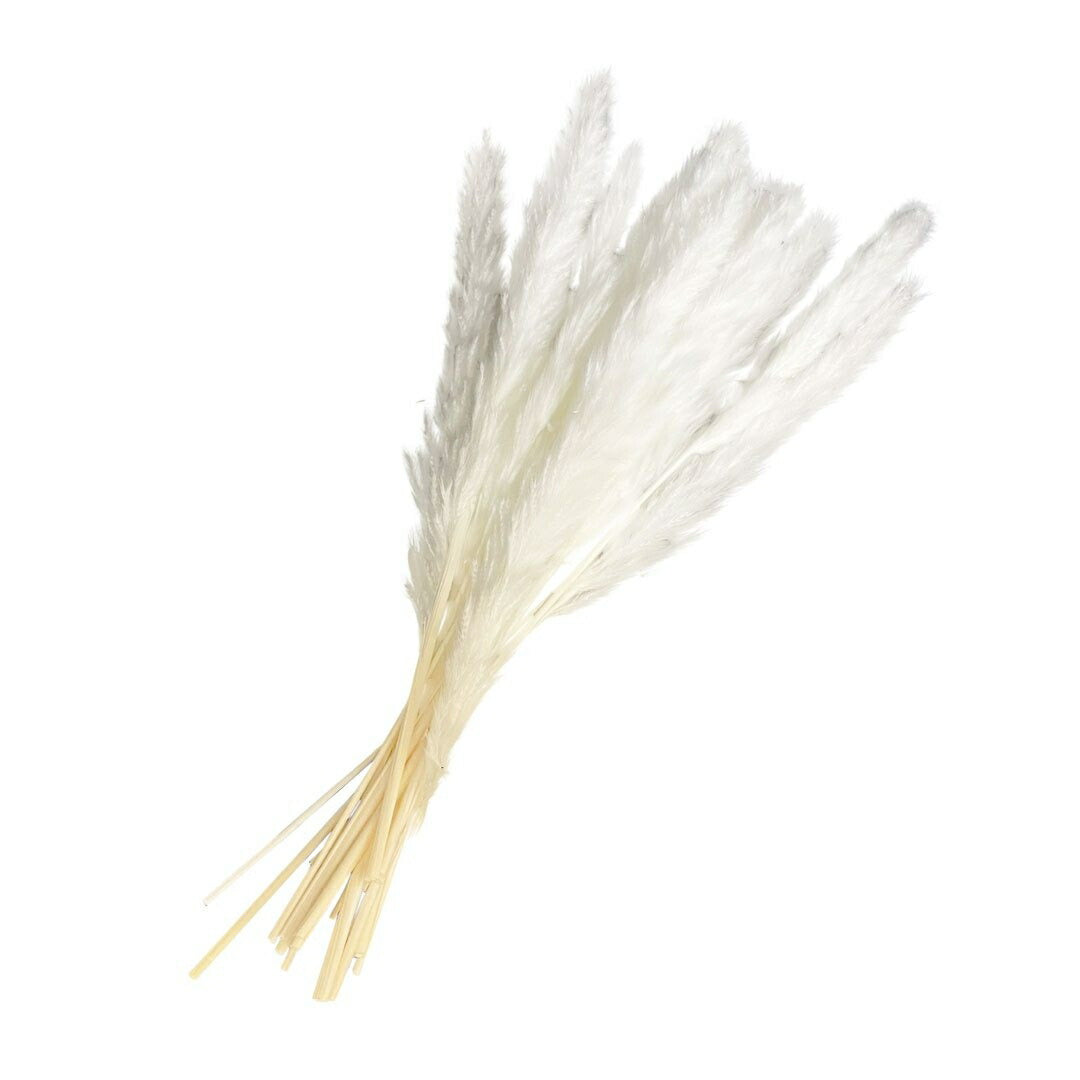 インテリア オブジェ | 北欧風ヴィンテージ パンパスグラス15本セット | インテリア用ドライフラワー