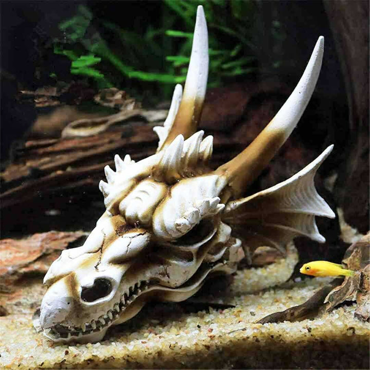 風水 インテリア | 風水龍頭蓋骨置物 - 開運金運向上