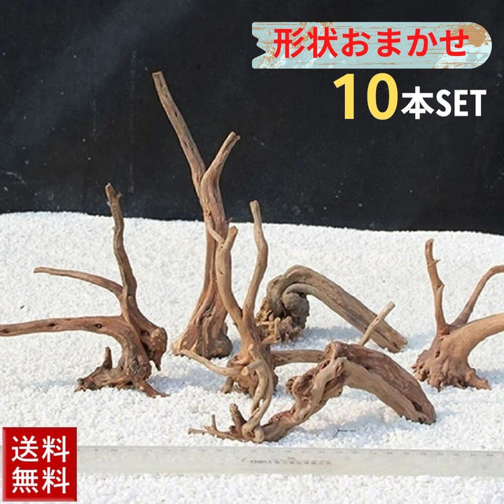 ペットグッズ | アクアリウム用流木10本セット - 形状お任せ 10〜15cm