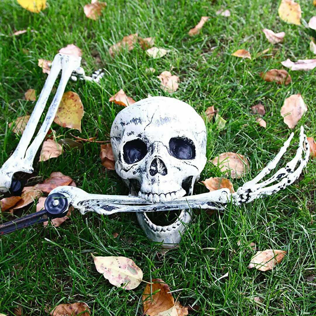 イベントグッズ | ハロウィン リアル骸骨3点セット - 室内外飾り付け