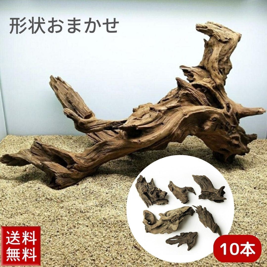 ペットグッズ | アクアリウム用流木10本セット 21〜25cm 形状お任せ - 水槽・テラリウム向け