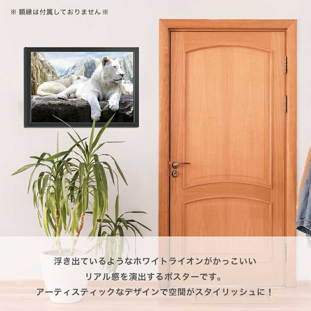 インテリア雑貨 その他 | ホワイトライオン 3D立体アート 絵画