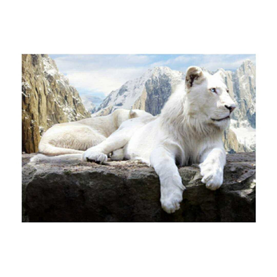 インテリア雑貨 その他 | ホワイトライオン 3D立体アート 絵画