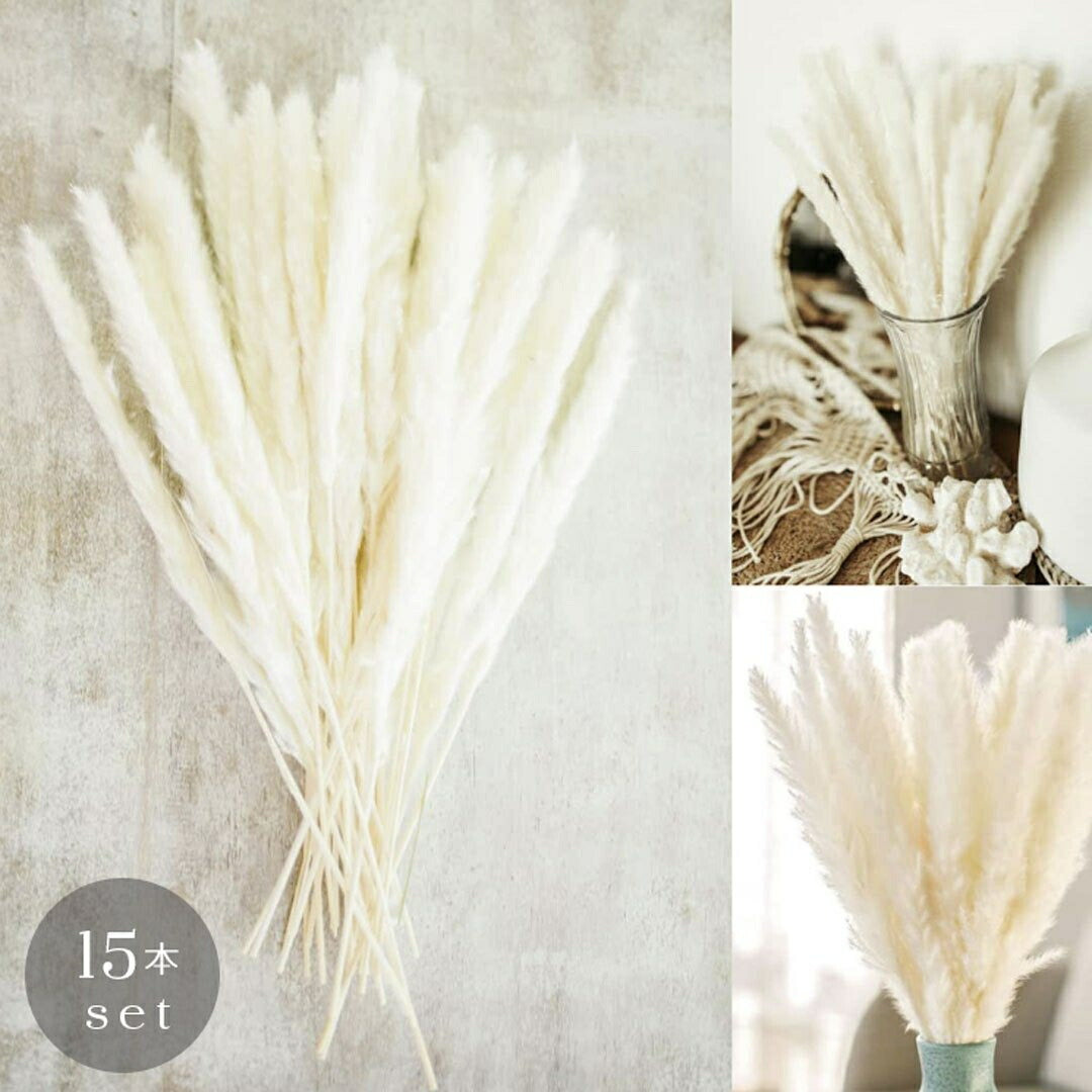 インテリア オブジェ | 北欧風ヴィンテージ パンパスグラス15本セット | インテリア用ドライフラワー
