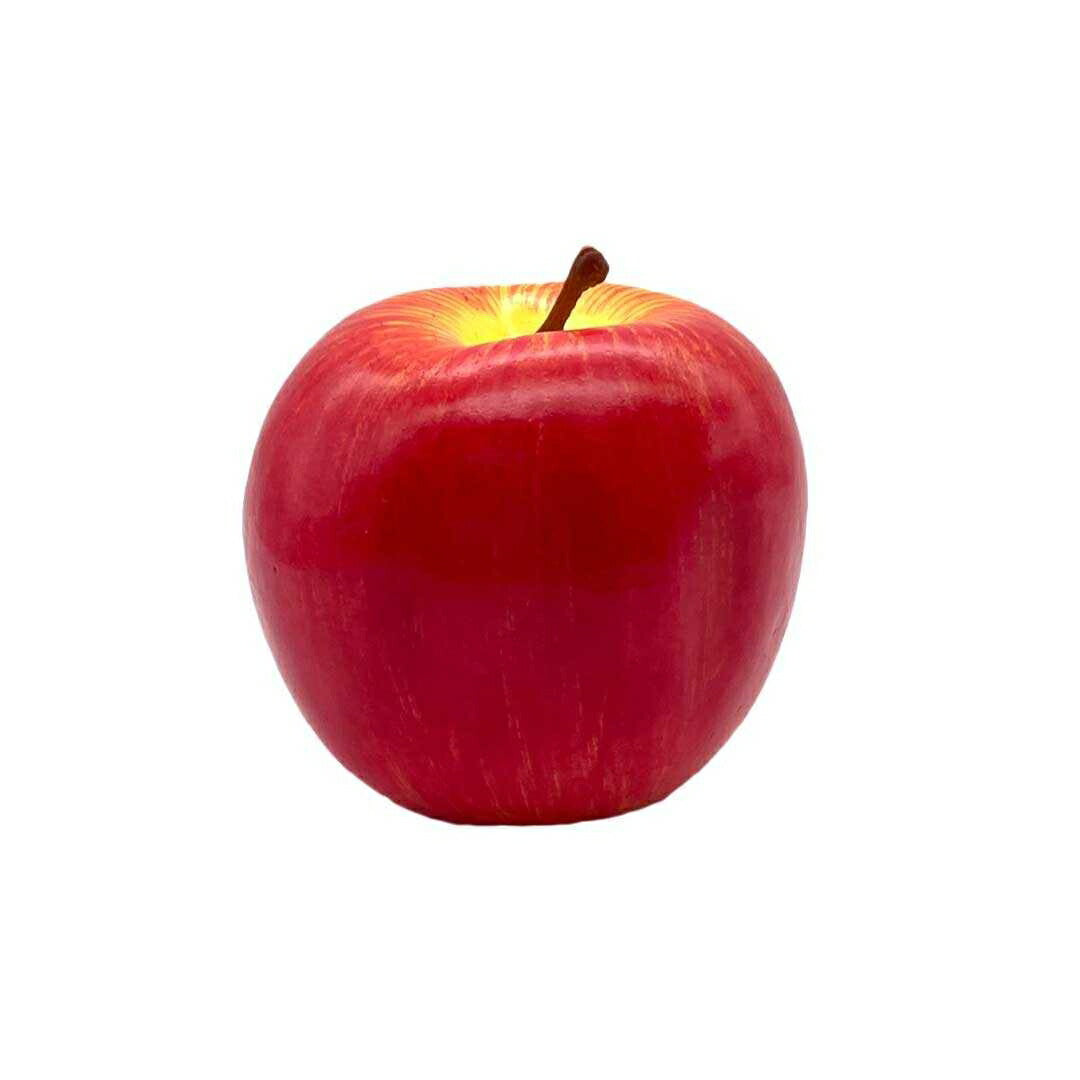 インテリア オブジェ | フルーツ食品サンプル 11種類 ディスプレイ用