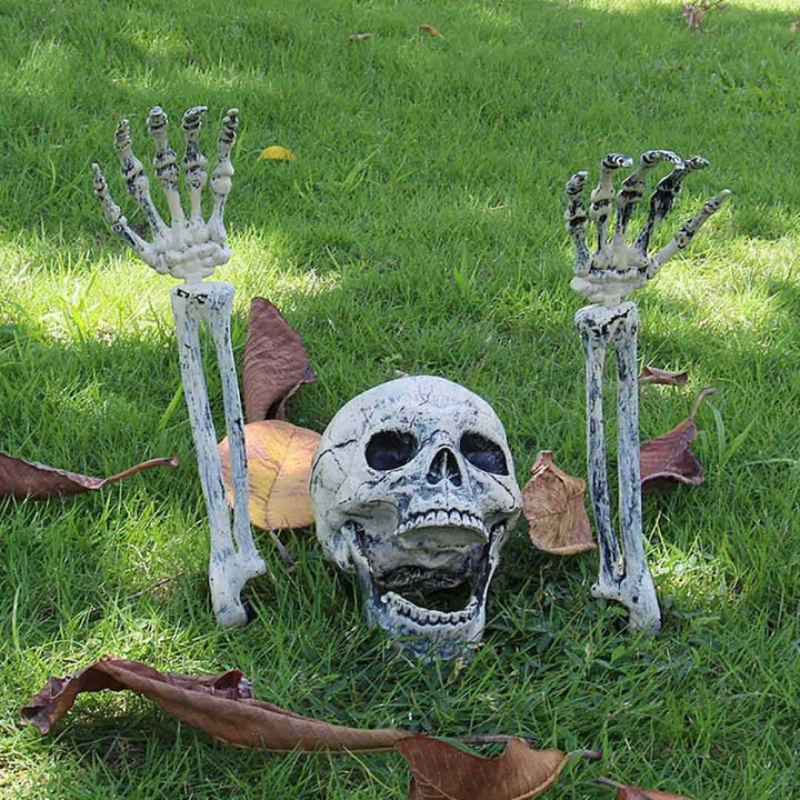 イベントグッズ | ハロウィン リアル骸骨3点セット - 室内外飾り付け