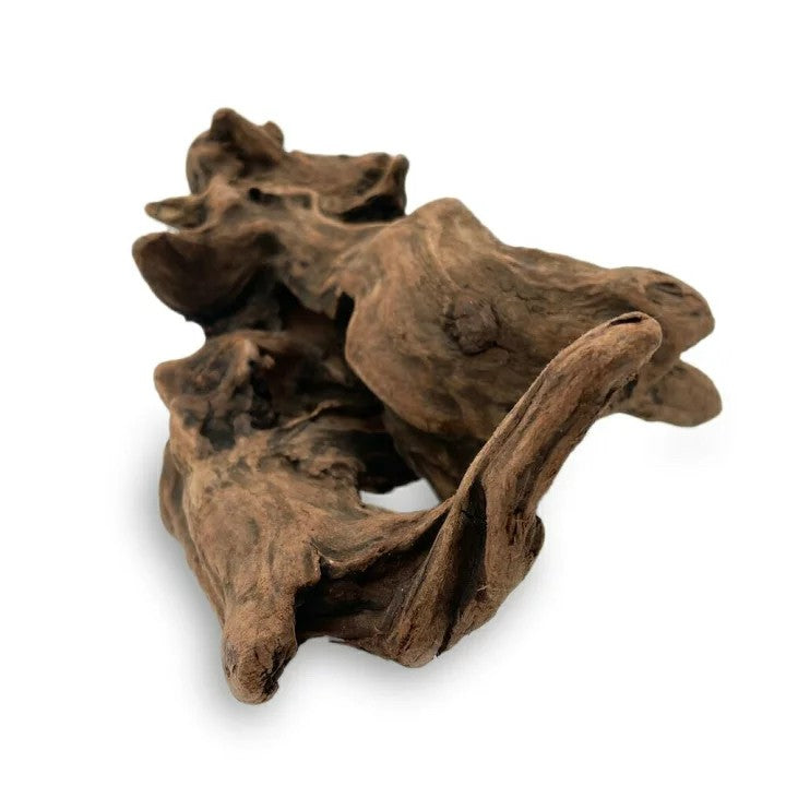 ペットグッズ | アクアリウム用流木10本セット 21〜25cm 形状お任せ - 水槽・テラリウム向け