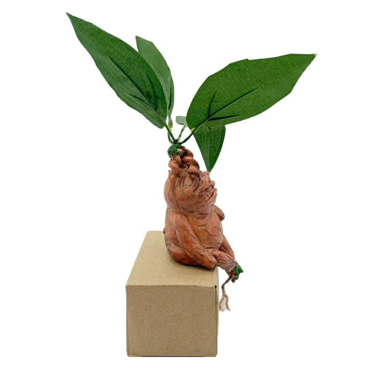 インテリア オブジェ | マンドラゴラ置物 2個セット - リアルホラーデザイン