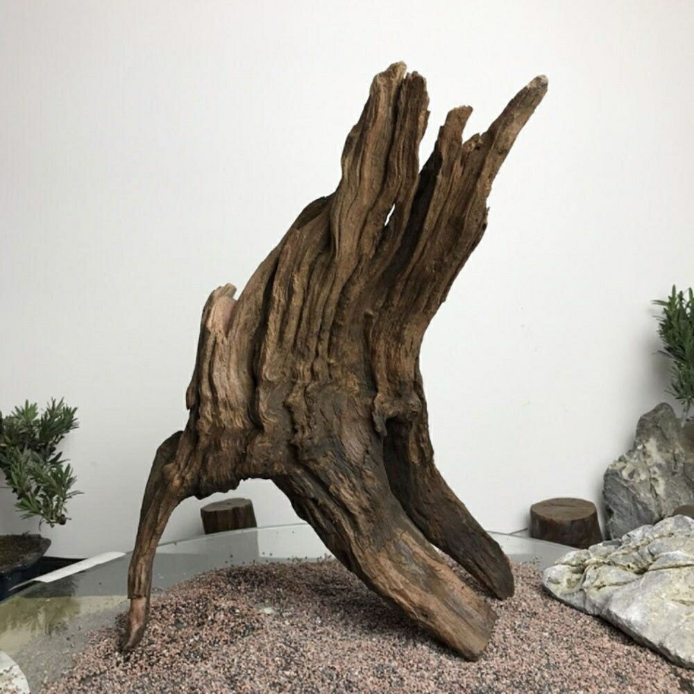 ペットグッズ | アクアリウム用流木 21〜25cm 形状お任せ - 水槽・テラリウムレイアウト向け