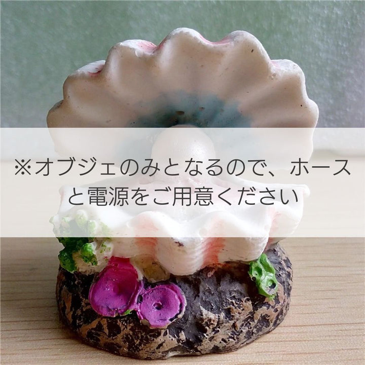 ペットグッズ | アクアリウム用貝殻オブジェ - 水槽インテリア