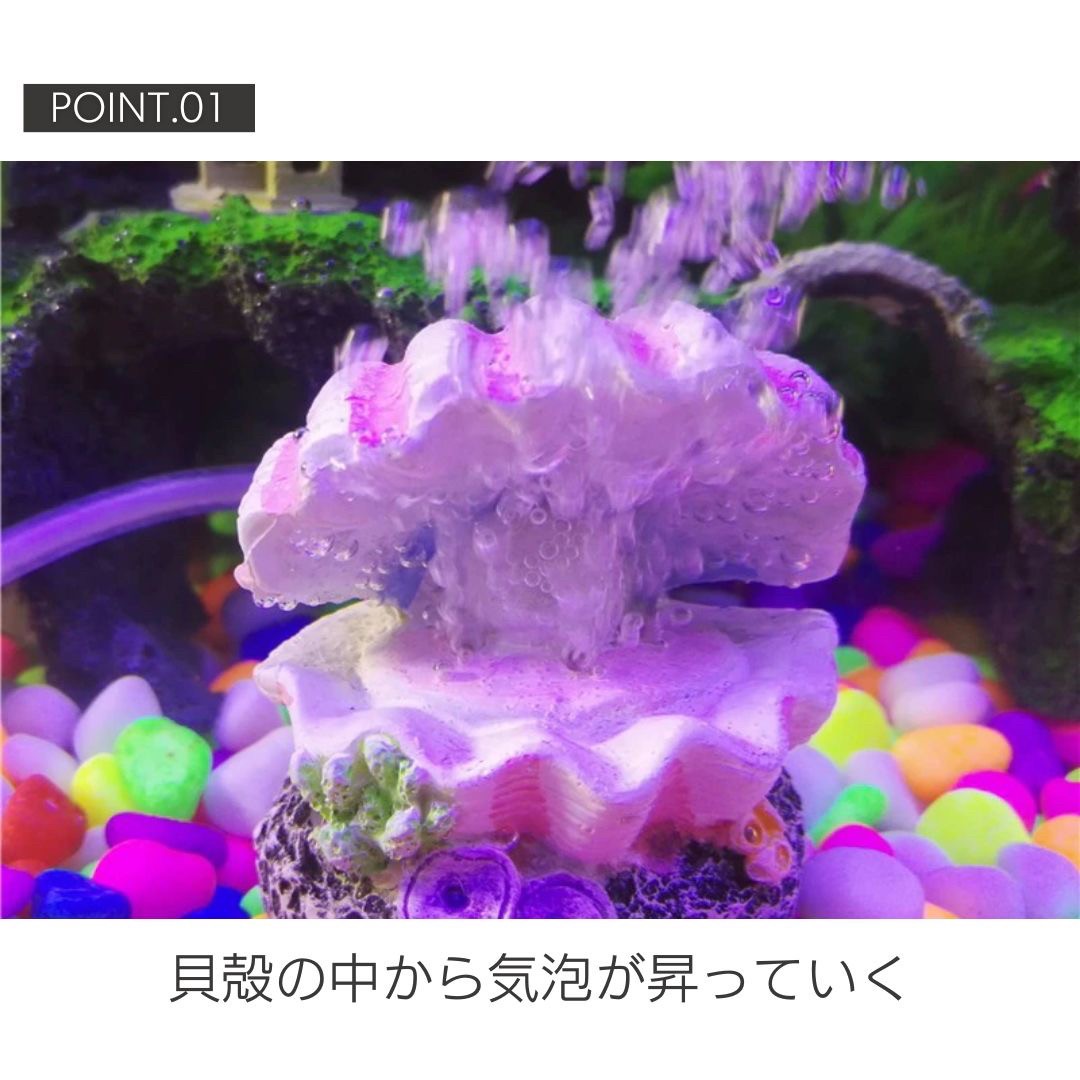 ペットグッズ | アクアリウム用貝殻オブジェ - 水槽インテリア