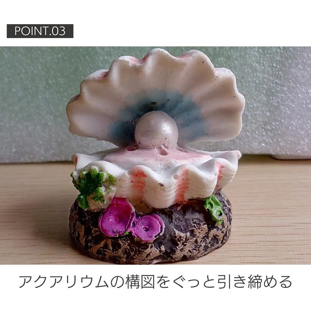 ペットグッズ | アクアリウム用貝殻オブジェ - 水槽インテリア
