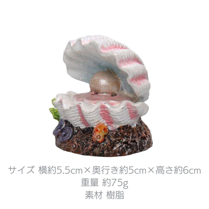 ペットグッズ | アクアリウム用貝殻オブジェ - 水槽インテリア