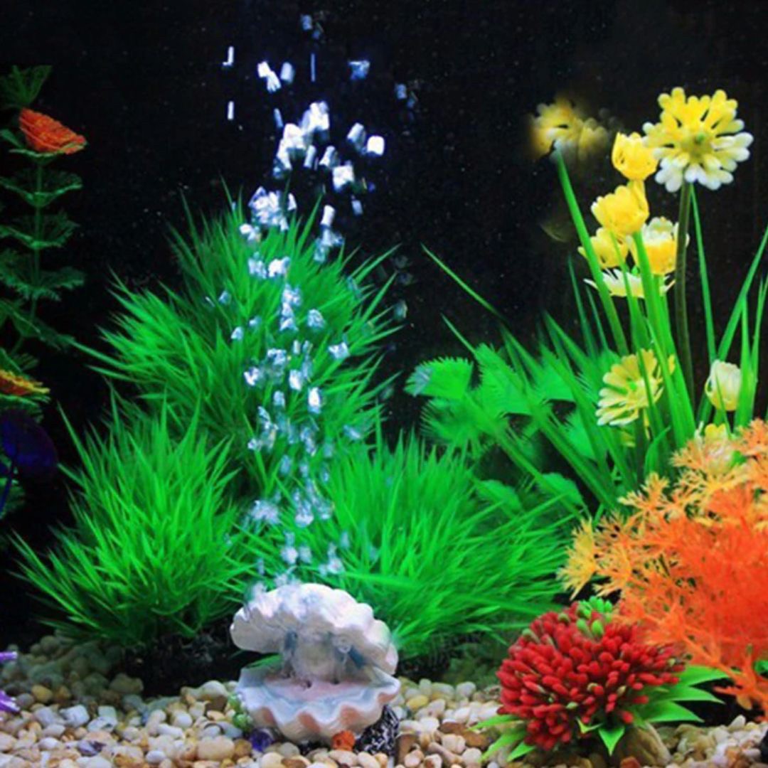 ペットグッズ | アクアリウム用貝殻オブジェ - 水槽インテリア