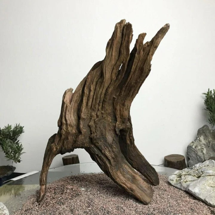 ペットグッズ | アクアリウム用流木10本セット 21〜25cm 形状お任せ - 水槽・テラリウム向け