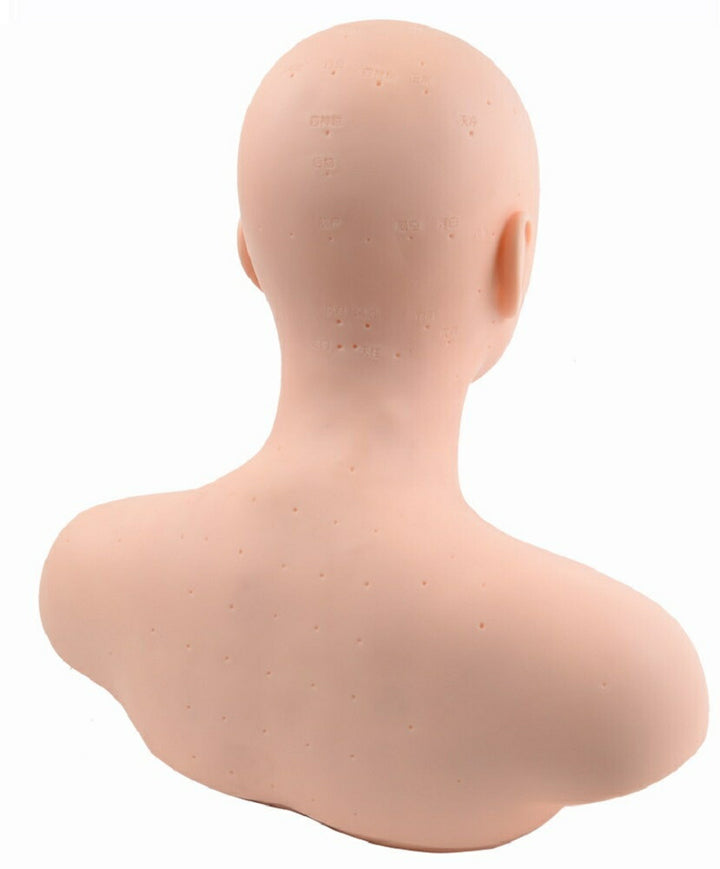 コスメティック | フェイス＆デコルテ マネキンヘッド - エステ・メイク練習用