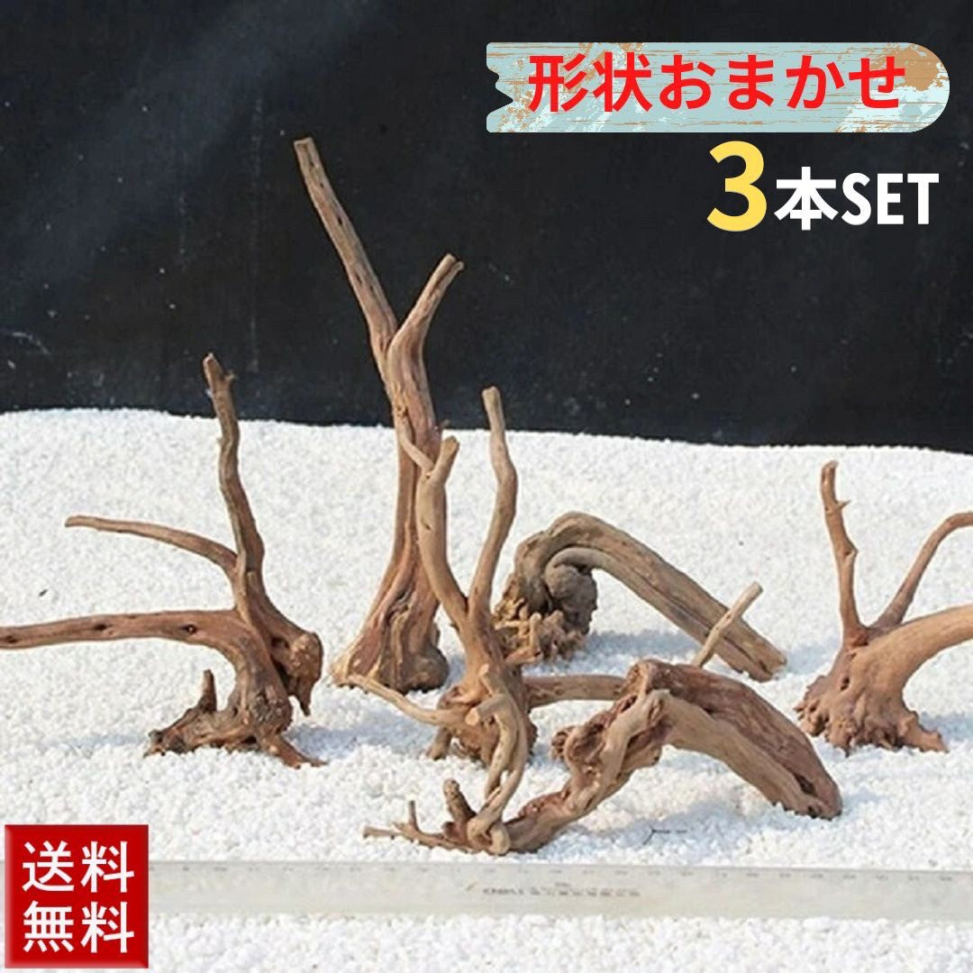 ペットグッズ | アクアリウム用枝流木3本セット 10〜15cm 形状お任せ