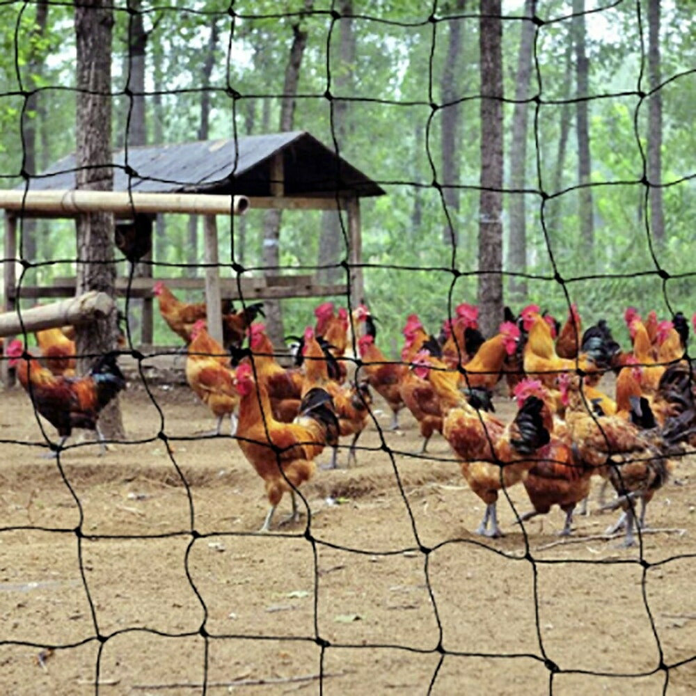 虫よけ 鳥よけ | 防鳥ネット3m×30m ブラック | 家庭菜園・農業用カラス対策