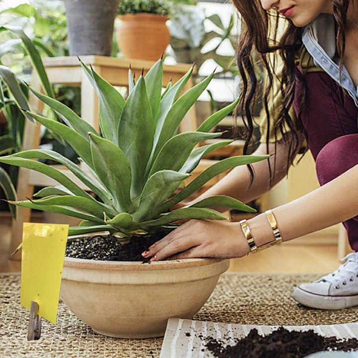 虫よけ 鳥よけ | 強力虫取り粘着シート100枚セット 室内外対応