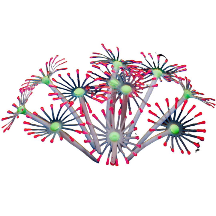 ペットグッズ | シリコン製人工イソギンチャク 水槽用インテリア 6カラー選択可能