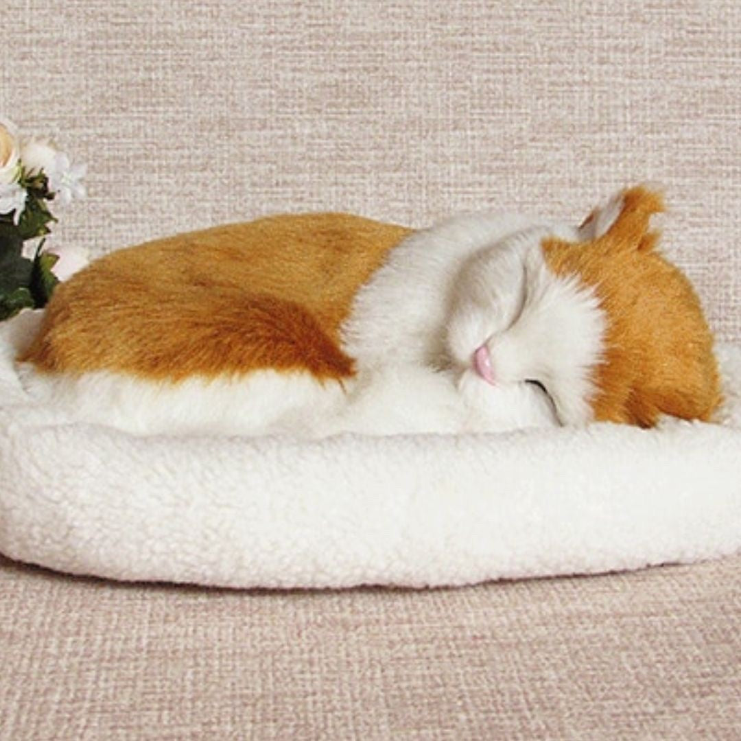 玩具 | かわいい猫の抱き枕 3色カラー - ギフトにぴったり