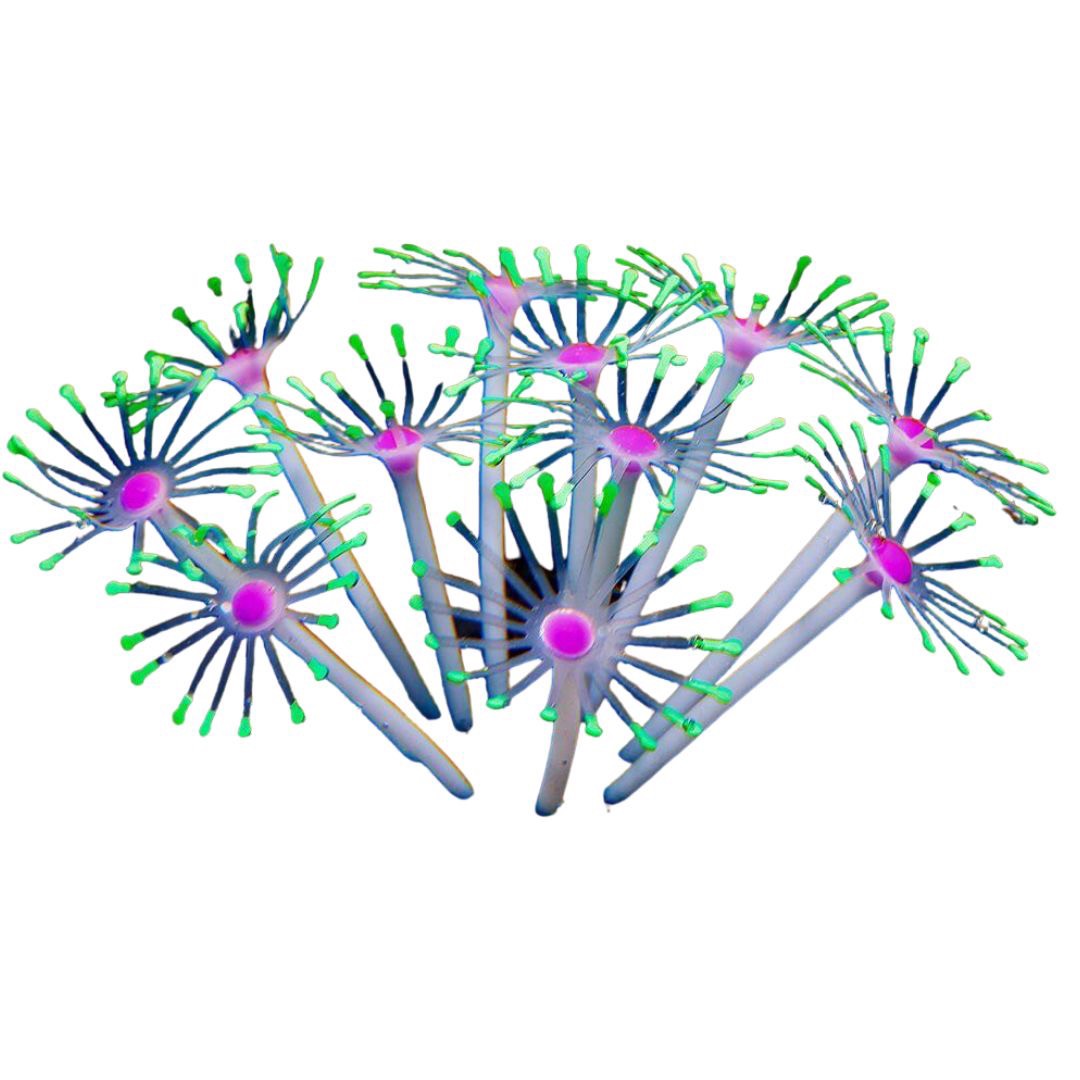 ペットグッズ | シリコン製人工イソギンチャク 水槽用インテリア 6カラー選択可能