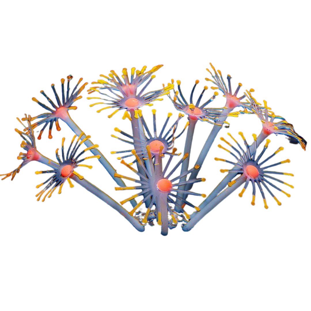 ペットグッズ | シリコン製人工イソギンチャク 水槽用インテリア 6カラー選択可能