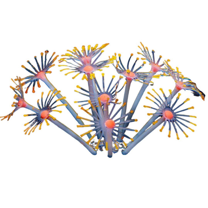 ペットグッズ | シリコン製人工イソギンチャク 水槽用インテリア 6カラー選択可能