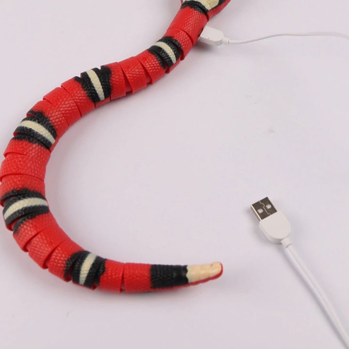 ペットグッズ | 電動サンゴヘビ型猫用おもちゃ - USB充電式