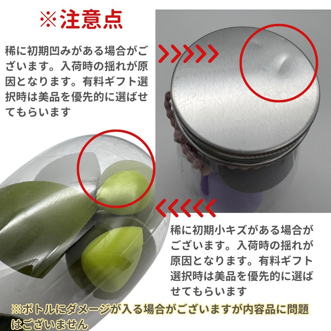 コスメティック | 選べる4カラー 水で膨らむメイクスポンジ6点セット（収納ボトル付き）
