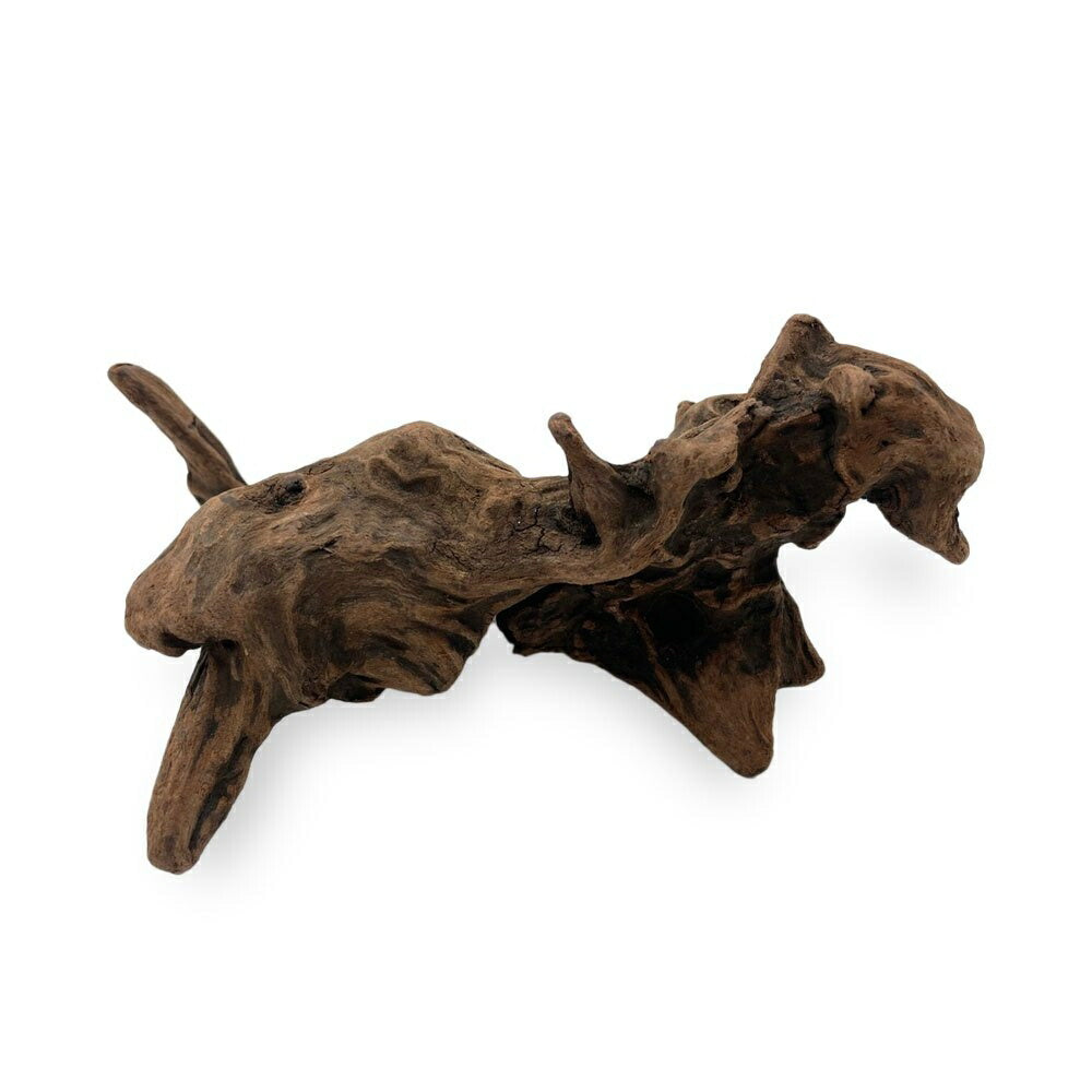 ペットグッズ | アクアリウム用流木 21〜25cm 形状お任せ - 水槽・テラリウムレイアウト向け