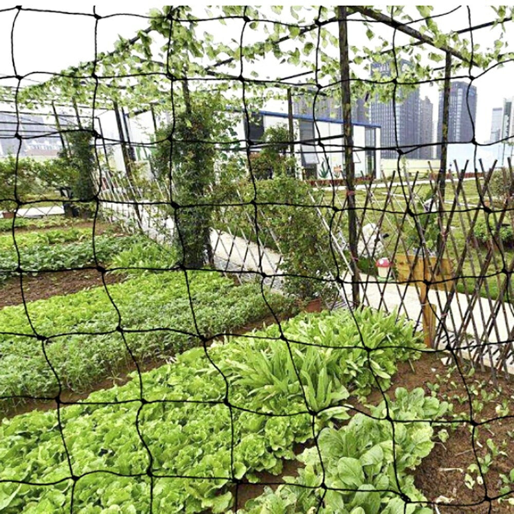 虫よけ 鳥よけ | 防鳥ネット3m×30m ブラック | 家庭菜園・農業用カラス対策