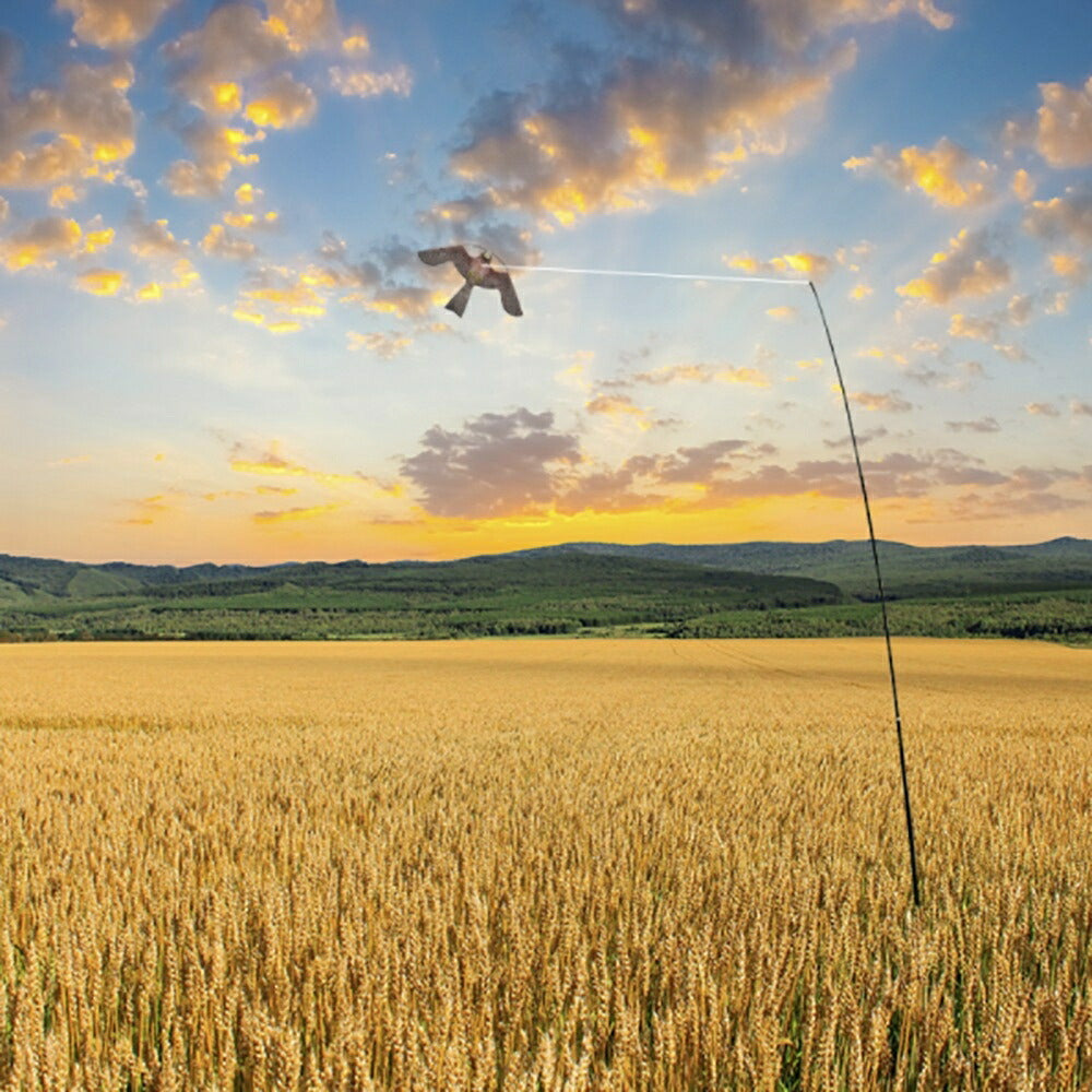 虫よけ 鳥よけ | 猛禽類モチーフ鳥よけセット - ベランダ・畑用