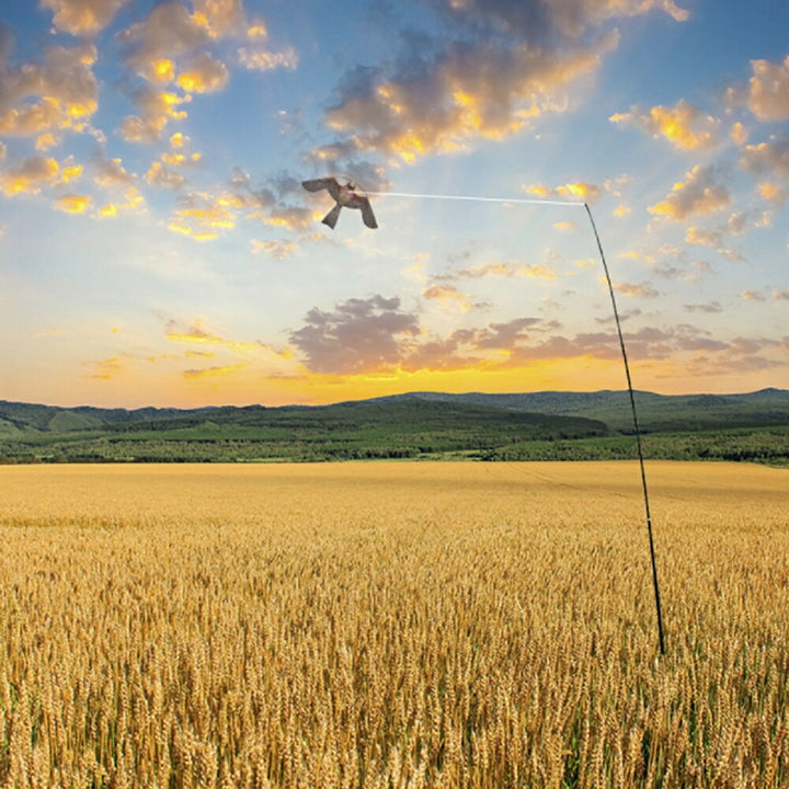 虫よけ 鳥よけ | 猛禽類モチーフ鳥よけセット - ベランダ・畑用